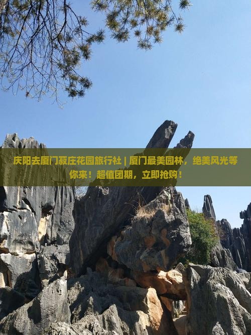 庆阳去厦门菽庄花园旅行社