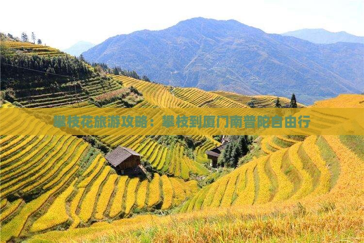 攀枝花去厦门南普陀自由行
