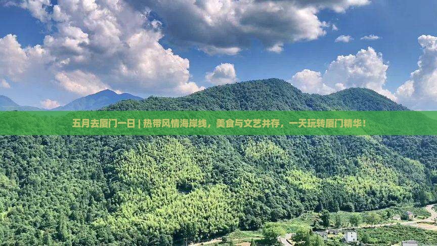 五月去厦门一日 五月去厦门一日