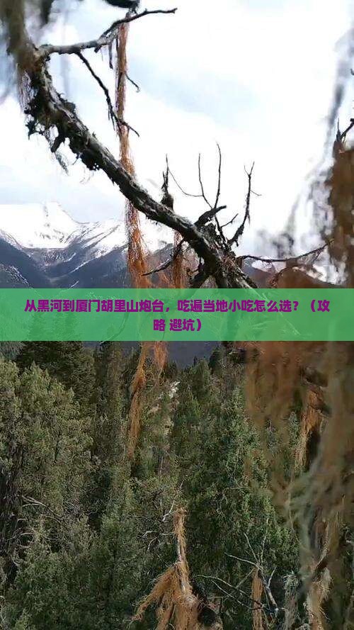 黑河去厦门胡里山炮台旅游小吃