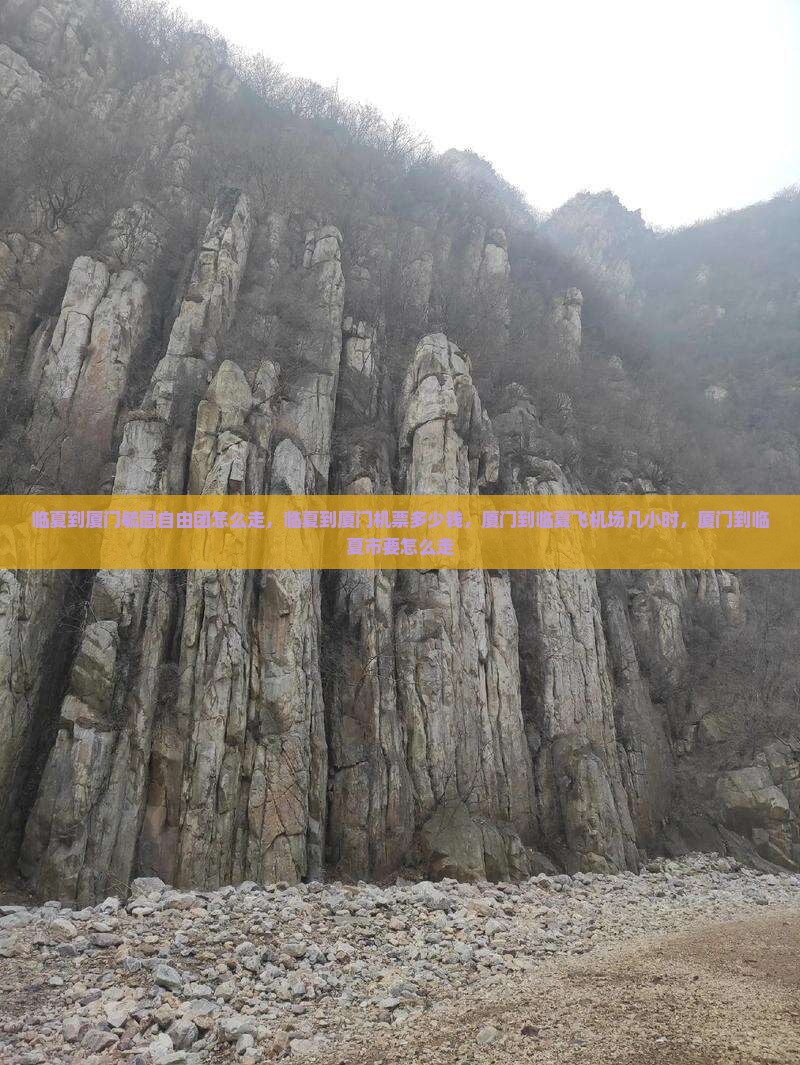 临夏到厦门毓园自由团