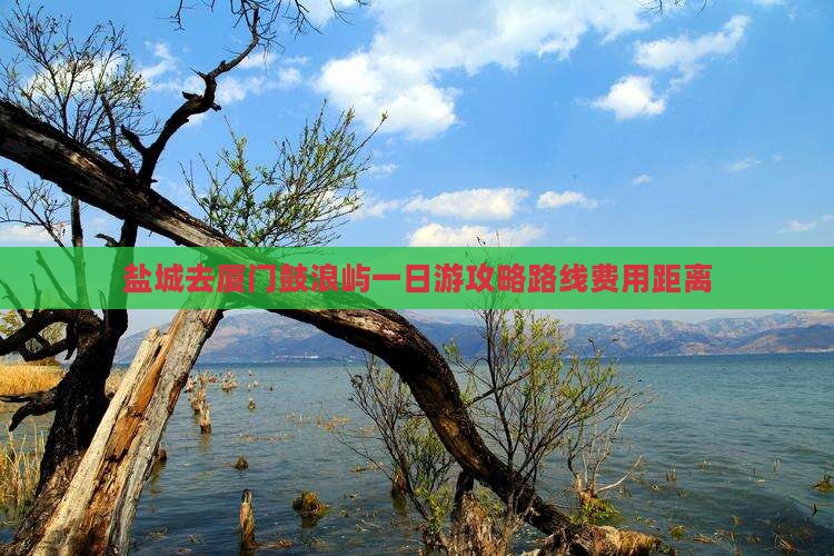 盐城去厦门鼓浪屿一日