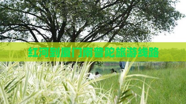 红河到厦门南普陀旅行社