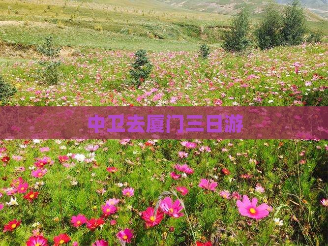 中卫去厦门三日游