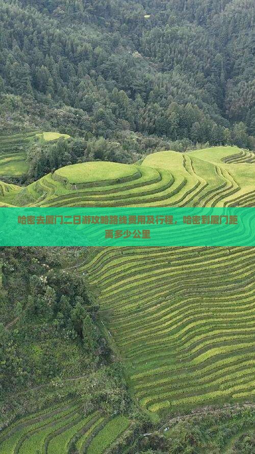 哈密去厦门二日游
