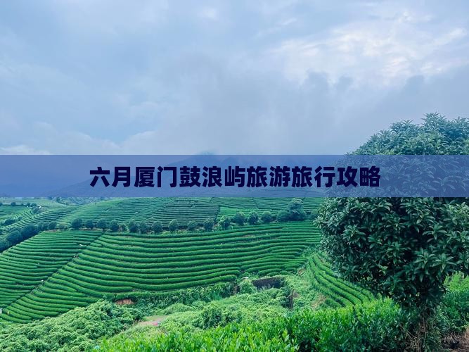 六月去厦门鼓浪屿攻略