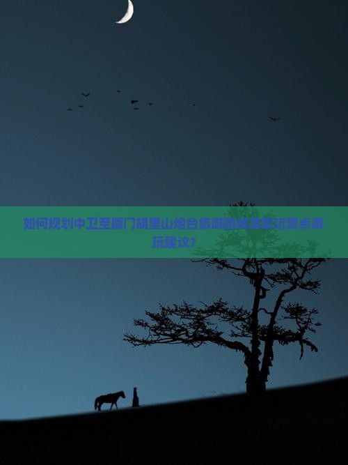如何规划中卫至厦门胡里山炮台旅游路线及附近景点游玩建议？