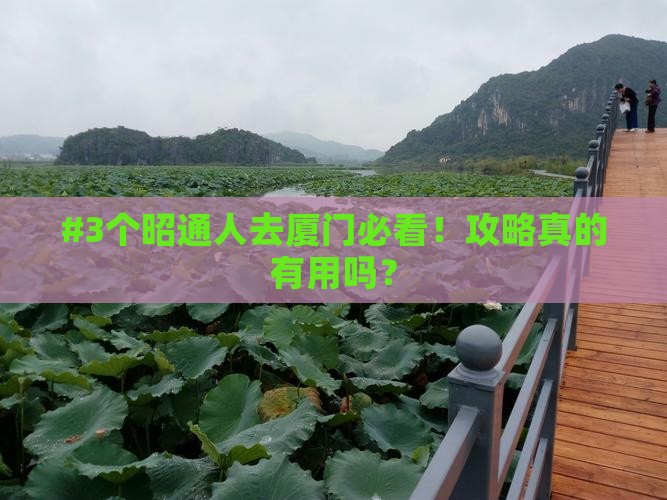 #3个昭通人去厦门必看！攻略真的有用吗？