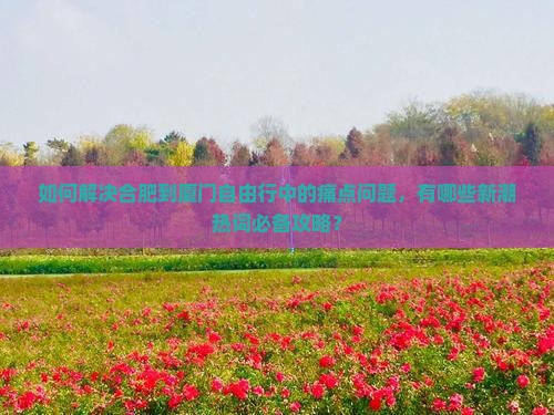 如何解决合肥到厦门自由行中的痛点问题，有哪些新潮热词必备攻略？