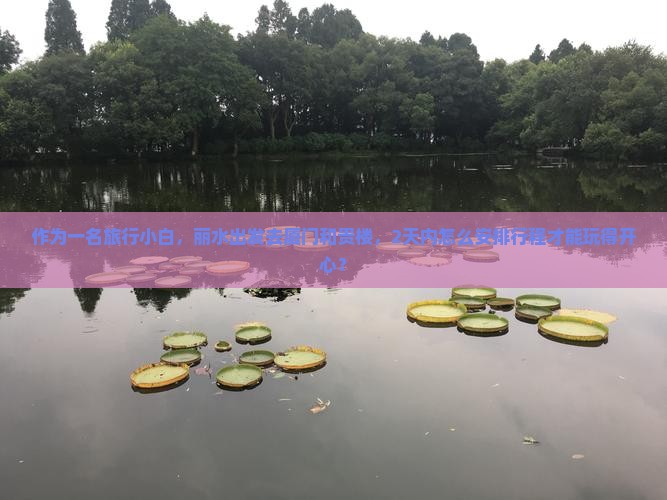 作为一名旅行小白，丽水出发去厦门和贵楼，2天内怎么安排行程才能玩得开心？