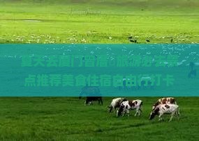夏天去厦门曾厝垵旅游必去景点推荐美食住宿自由行打卡线路旅行社信息搜索营业部旅行攻略