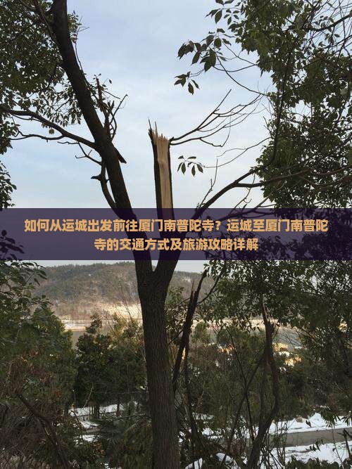 如何从运城出发前往厦门南普陀寺？运城至厦门南普陀寺的交通方式及旅游攻略详解