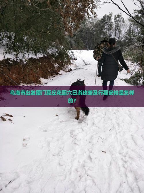 乌海市出发厦门菽庄花园六日游攻略及行程安排是怎样的？