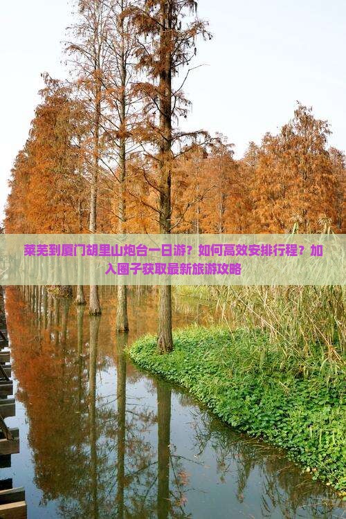 莱芜到厦门胡里山炮台一日游？如何高效安排行程？加入圈子获取最新旅游攻略