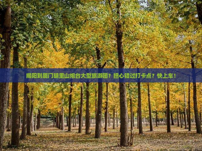 揭阳到厦门胡里山炮台大型旅游团？担心错过打卡点？快上车！