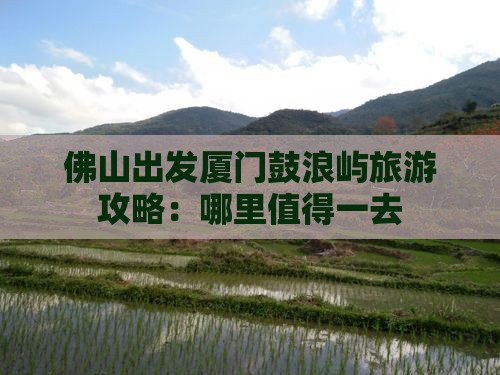 佛山出发厦门鼓浪屿旅游攻略：哪里值得一去