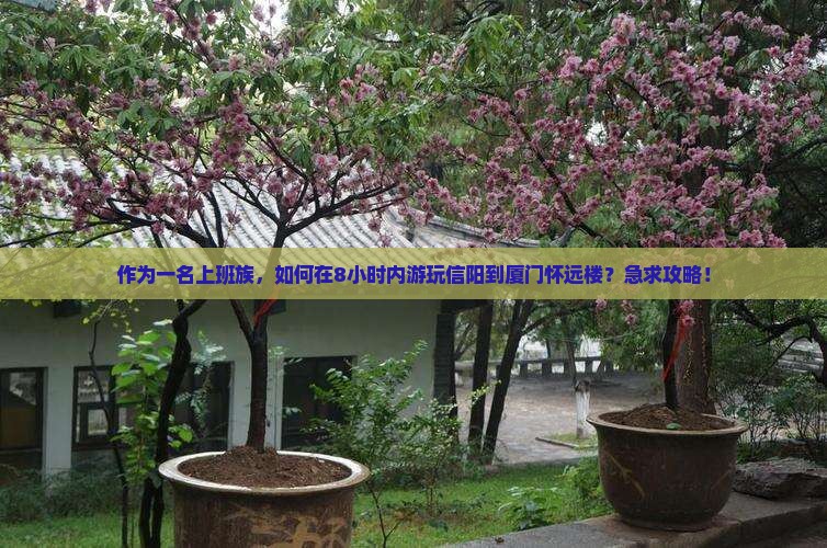 作为一名上班族，如何在8小时内游玩信阳到厦门怀远楼？急求攻略！