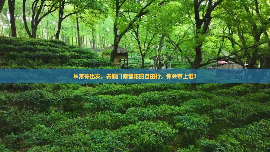 从常德出发，去厦门南普陀的自由行，你会带上谁？