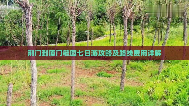 荆门到厦门毓园七日游攻略及路线费用详解