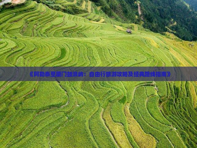 《阿勒泰至厦门鼓浪屿：自由行旅游攻略及经典路线指南》