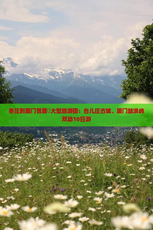 枣庄到厦门曾厝垵大型旅游团：台儿庄古城、厦门鼓浪屿双动10日游