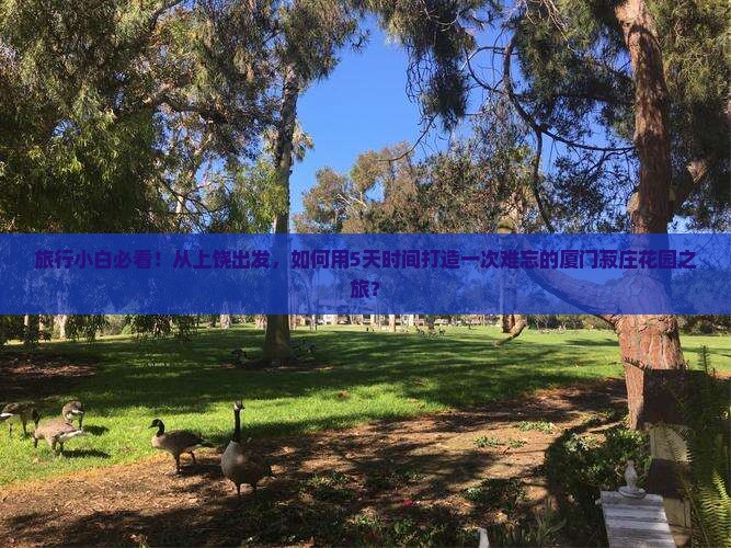 旅行小白必看！从上饶出发，如何用5天时间打造一次难忘的厦门菽庄花园之旅？