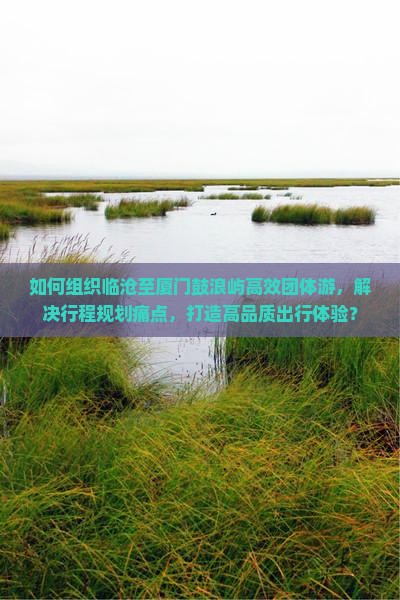 如何组织临沧至厦门鼓浪屿高效团体游，解决行程规划痛点，打造高品质出行体验？