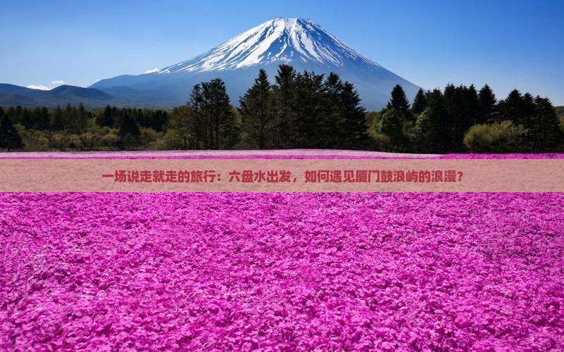 一场说走就走的旅行:六盘水出发,如何遇见厦门鼓浪屿的浪漫? 一场说走就走的旅行:六盘水出发,如何遇见厦门鼓浪屿的浪漫?