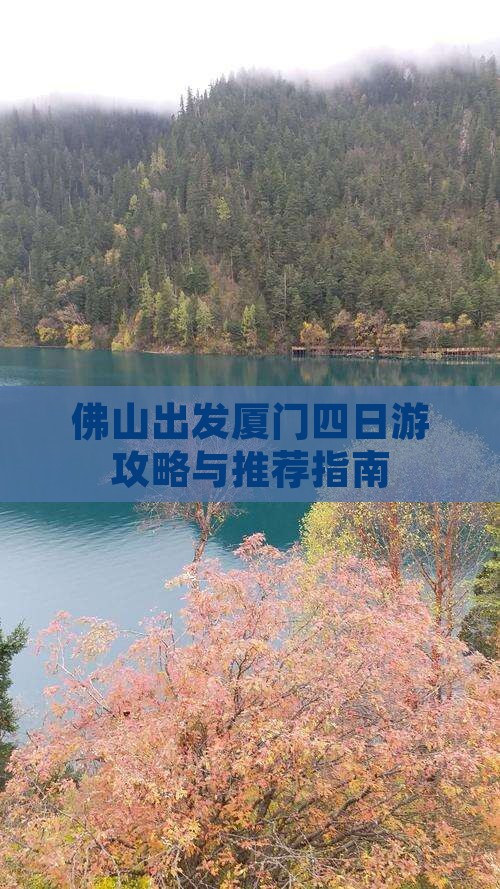 佛山出发厦门四日游攻略与推荐指南