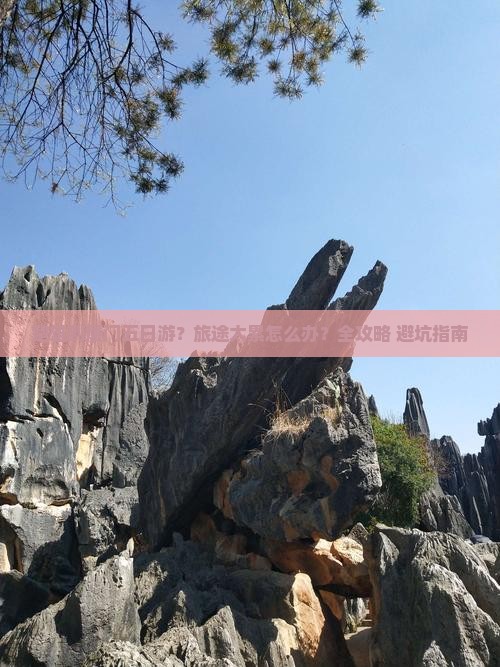 楚雄到厦门五日游？旅途太累怎么办？全攻略+避坑指南