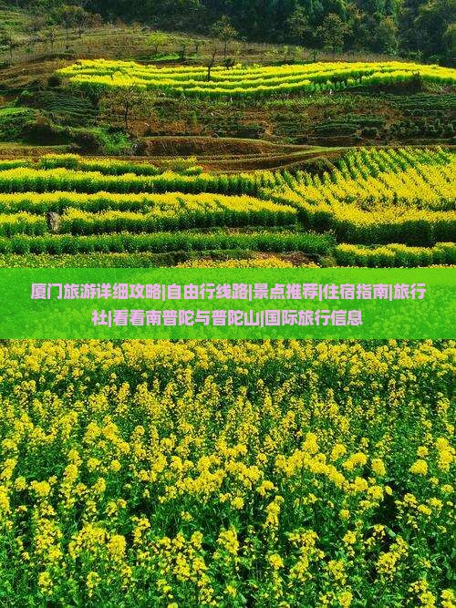 厦门旅游详细攻略|自由行线路|景点推荐|住宿指南|旅行社|看看南普陀与普陀山|国际旅行信息