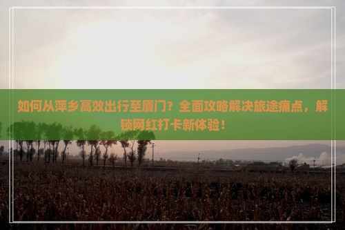 如何从萍乡高效出行至厦门？全面攻略解决旅途痛点，解锁网红打卡新体验！
