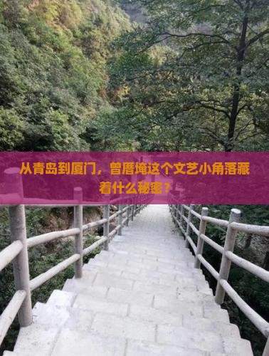 从青岛到厦门，曾厝埯这个文艺小角落藏着什么秘密？
