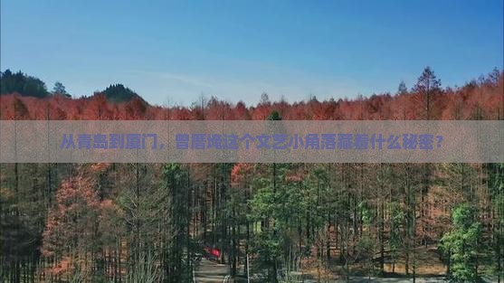 从青岛到厦门，曾厝埯这个文艺小角落藏着什么秘密？