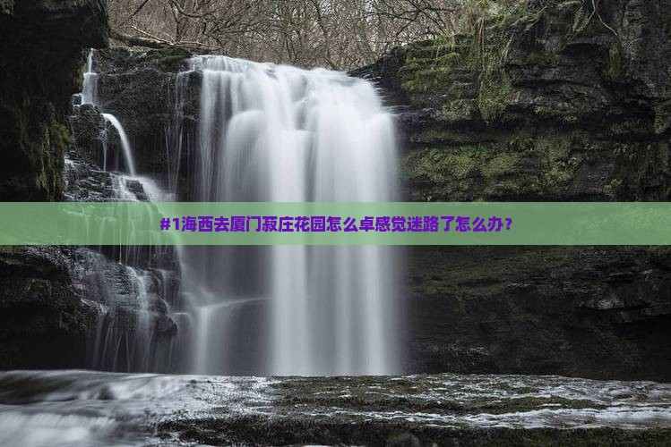 #1海西去厦门菽庄花园怎么卓感觉迷路了怎么办？