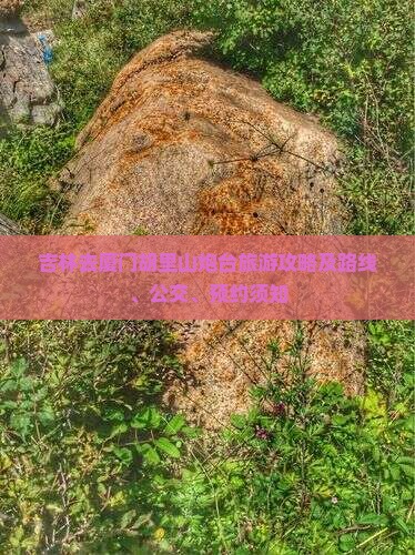 吉林去厦门胡里山炮台旅游攻略及路线、公交、预约须知