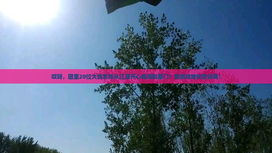 哎呀，团里20位大妈怎样从辽源开心畅游到厦门？旅游攻略快告诉我！