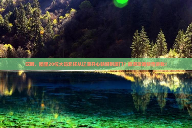 哎呀，团里20位大妈怎样从辽源开心畅游到厦门？旅游攻略快告诉我！