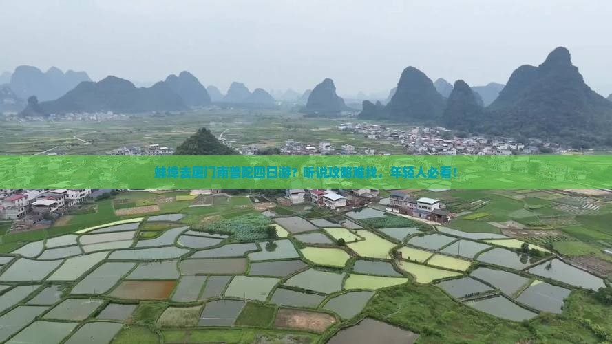蚌埠去厦门南普陀四日游？听说攻略难找，年轻人必看！