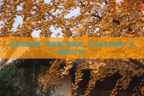 探索湘西风情，邂逅厦门曾厝埯：三天的奇幻旅程，你准备好了吗？