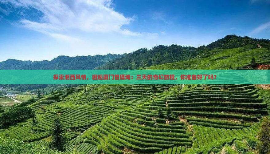 探索湘西风情，邂逅厦门曾厝埯：三天的奇幻旅程，你准备好了吗？