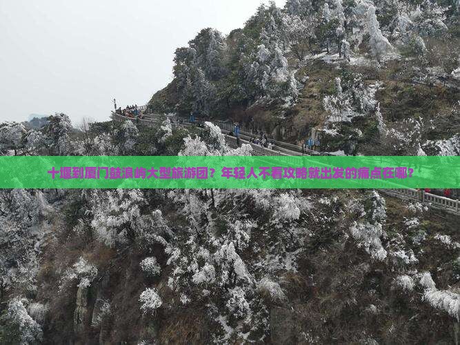 十堰到厦门鼓浪屿大型旅游团？年轻人不看攻略就出发的痛点在哪？