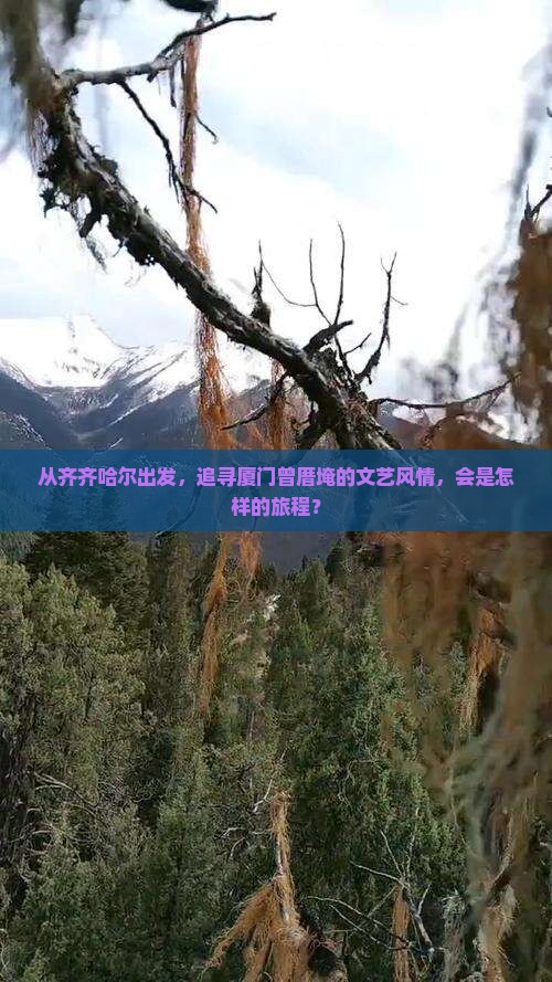 从齐齐哈尔出发，追寻厦门曾厝埯的文艺风情，会是怎样的旅程？