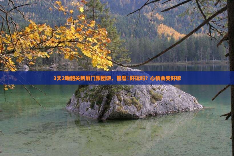 3天2晚韶关到厦门跟团游，曾厝垵好玩吗？心情会变好嘛
