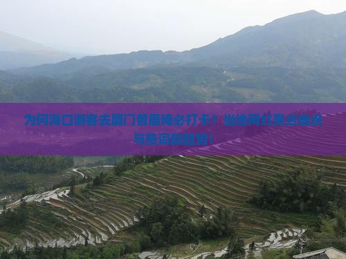 为何海口游客去厦门曾厝埯必打卡？当地网红景点痛点与热词新趋势！