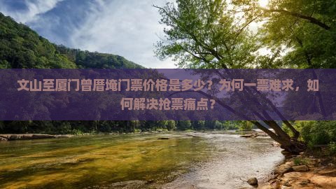 文山至厦门曾厝埯门票价格是多少？为何一票难求，如何解决抢票痛点？