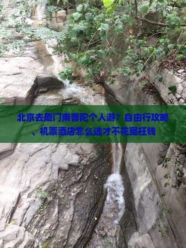 北京去厦门南普陀个人游？自由行攻略、机票酒店怎么选才不花冤枉钱