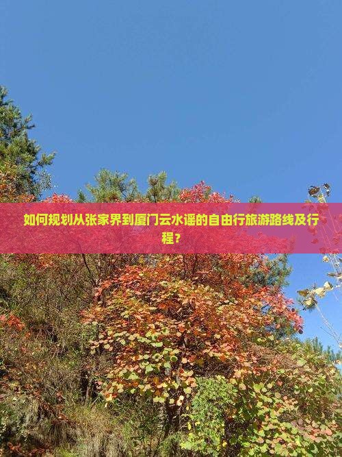 如何规划从张家界到厦门云水谣的自由行旅游路线及行程？
