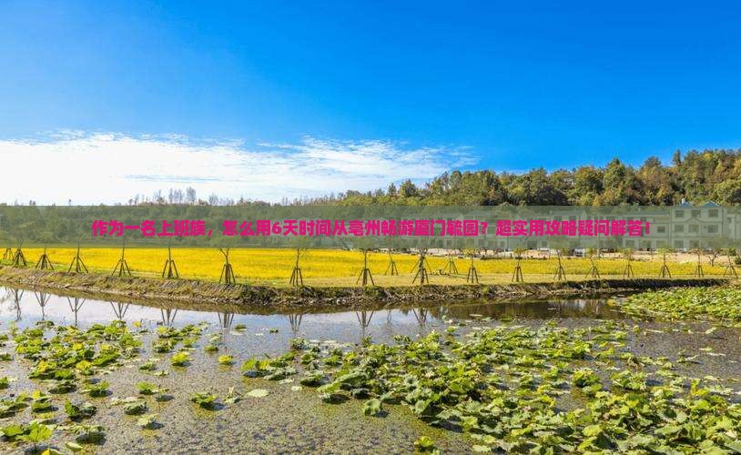作为一名上班族，怎么用6天时间从亳州畅游厦门毓园？超实用攻略疑问解答！