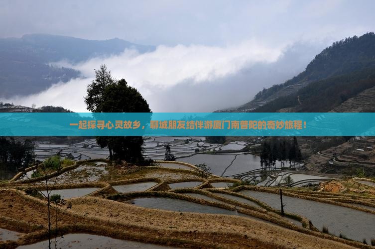一起探寻心灵故乡，聊城朋友结伴游厦门南普陀的奇妙旅程！